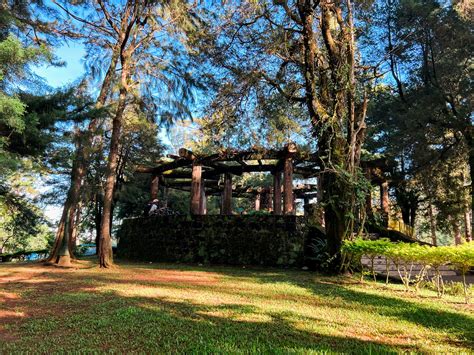 Wright Park .